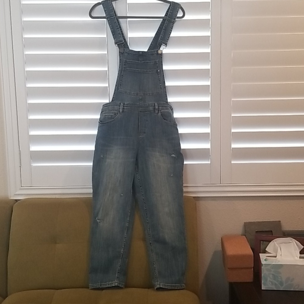 Denim overalls Blank NYC 29 slightly distressed.